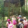 Fotografie 11 - Zoopark Chomutov