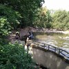 Fotografie 17 - Zoopark Chomutov