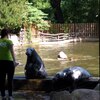 Fotografie 19 - Zoopark Chomutov