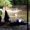 Fotografie 20 - Zoopark Chomutov