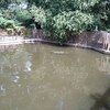 Fotografie 22 - Zoopark Chomutov