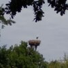 Fotografie 30 - Zoopark Chomutov