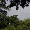 Fotografie 31 - Zoopark Chomutov