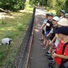 Fotografie 32 - Zoopark Chomutov
