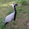 Fotografie 34 - Zoopark Chomutov