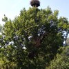 Fotografie 42 - Zoopark Chomutov