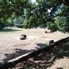 Fotografie 43 - Zoopark Chomutov