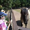Fotografie 45 - Zoopark Chomutov