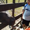 Fotografie 46 - Zoopark Chomutov