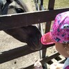 Fotografie 47 - Zoopark Chomutov