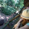Fotografie 53 - Zoopark Chomutov