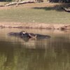 Fotografie 84 - Zoopark Chomutov