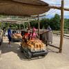 Fotografie 2 - Školní výlet - FAJN park