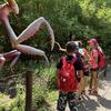 Fotografie 26 - Školní výlet - FAJN park