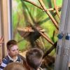 Fotografie 1 - Biopark Gymnázia Teplice