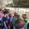 Fotografie 2 - Biopark Gymnázia Teplice