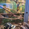 Fotografie 4 - Biopark Gymnázia Teplice