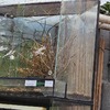 Fotografie 5 - Biopark Gymnázia Teplice