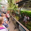 Fotografie 12 - Biopark Gymnázia Teplice