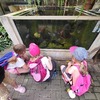 Fotografie 13 - Biopark Gymnázia Teplice
