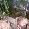Fotografie 16 - Biopark Gymnázia Teplice