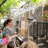 Fotografie 23 - Biopark Gymnázia Teplice