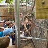 Fotografie 25 - Biopark Gymnázia Teplice