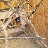 Fotografie 29 - Biopark Gymnázia Teplice