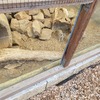 Fotografie 31 - Biopark Gymnázia Teplice
