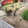 Fotografie 36 - Biopark Gymnázia Teplice