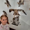 Fotografie 1 - Muzeum Teplice