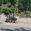 Fotografie 12 - Zoopark Chomutov 