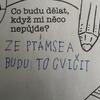 Fotografie 36 - Vzpomínáme na léto