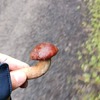 Fotografie 9 - Cvičení v přírodě
