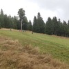 Fotografie 10 - Cvičení v přírodě