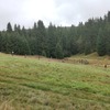 Fotografie 17 - Cvičení v přírodě