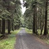 Fotografie 27 - Cvičení v přírodě