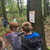 Fotografie 11 - Cvičení v přírodě