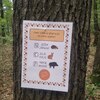 Fotografie 26 - Cvičení v přírodě