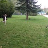 Fotografie 13 - Září v pohybu