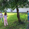 Fotografie 3 - Podzim na zahradě