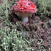 Fotografie 12 - Cvičení v přírodě