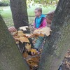 Fotografie 10 - Podzimní vycházka do přírody