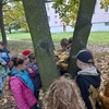 Fotografie 16 - Podzimní vycházka do přírody