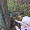 Fotografie 18 - Podzimní vycházka do přírody
