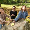 Fotografie 4 - Land art