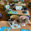 Fotografie 4 - PRVOUKA - opakujeme, pracujeme ve dvojicích a učíme se hrou