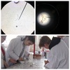 Fotografie 3 - V chemické laboratoři se nám daří