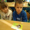 Fotografie 6 - Abeceda - skládání obrázků