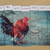 Fotografie 28 - Abeceda - skládání obrázků